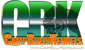 camp bully kennels cbk logo graphics