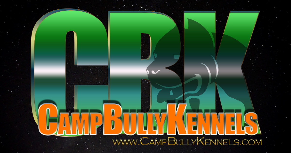 Wait List Camp Bully Kennels XL Bully Puppies for Sale