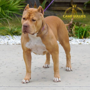 0F7FE408-F879-41B8-ADB4-00BEF270D1FA