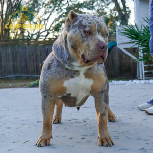 1E36B8F2-97B6-40C8-9D50-76A840842634