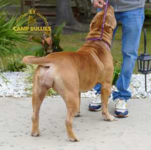 38260688-E561-4FFF-8BA9-9C5790A18AA2