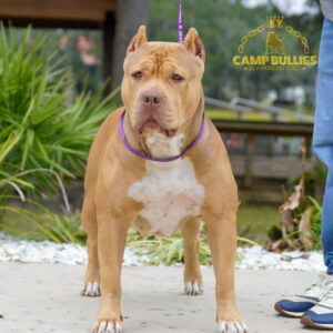 43DCC082-3AD4-465E-ADE2-FCE4989D62A0