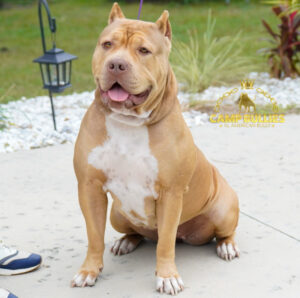 A75855F8-5A3A-43A5-880A-EB511132531B