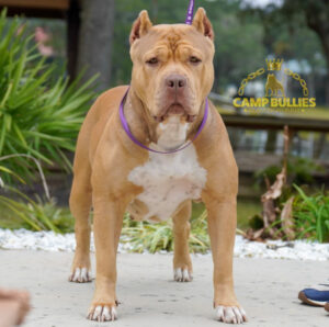 D4B6B9B4-7356-4D7F-9289-D580AEB27171