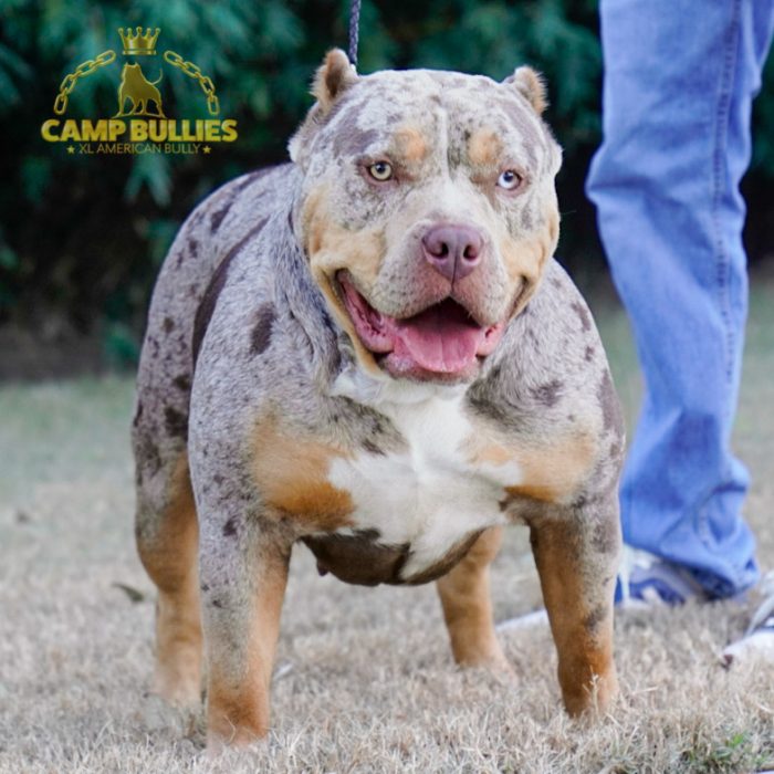 8E39F914-1372-4BD4-880C-D62B917A2E2C