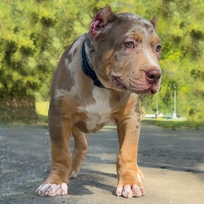 B447BACF-4091-4951-8383-A437CB8F4795 RESERVED